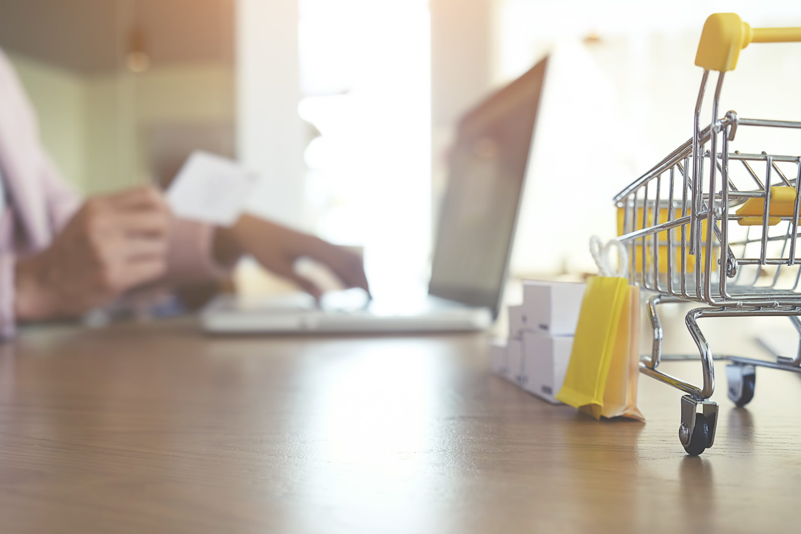 E-Ticaret Sitesi Fiyatları